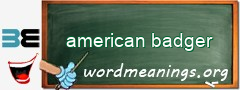 WordMeaning blackboard for american badger